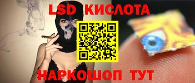 мяу мяу мука Малоярославец