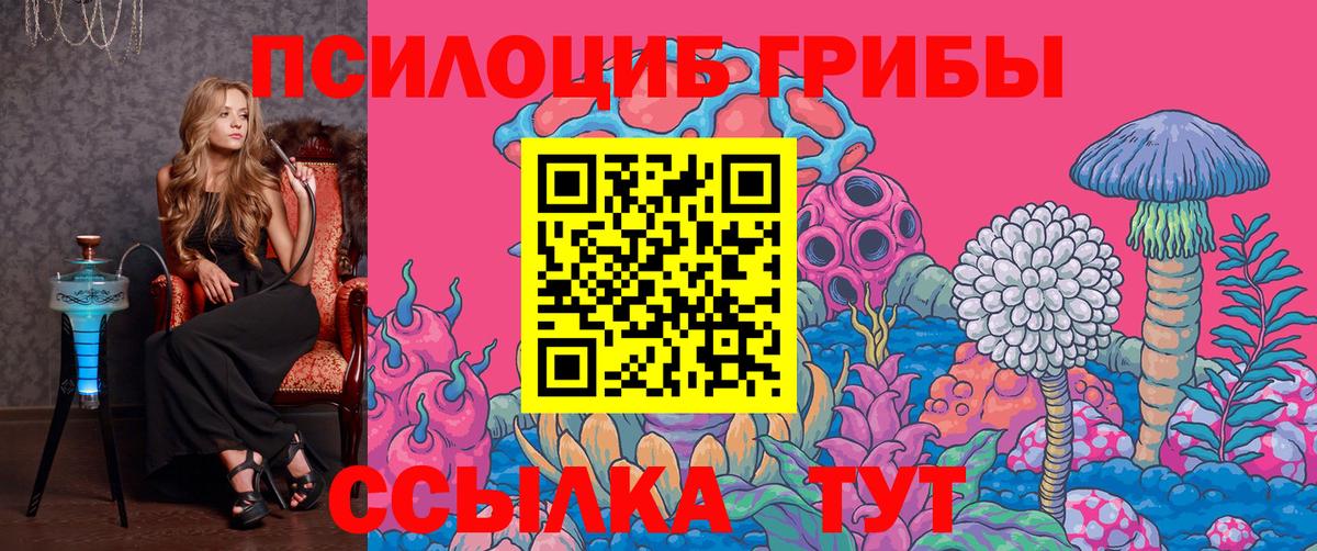 Псилоцибиновые грибы GOLDEN TEACHER  Вход с VPN  как найти   Шатура 
